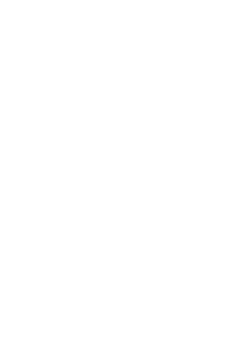 New Logo Miami Institute