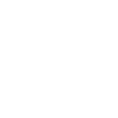 Miami Institute